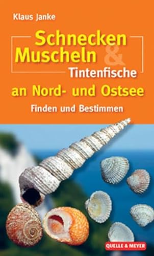 Schnecken, Muscheln & Tintenfische an Nord- und Ostsee: Finden und Bestimmen von Quelle + Meyer